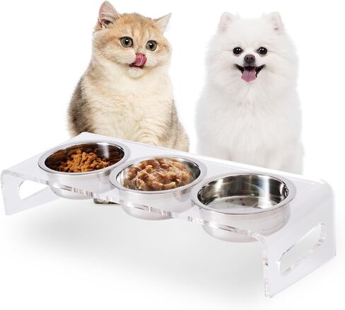 Tilted Raised Elevated Food and Water Bowls Stand for Cat or Small Dogs - Puppy's Clear Acrylic Stainless Steel Dishes Holder for Boy or Girl Pet,Modern,Durable and Easy to Clean by WBhonghui (Black) in Saudi Arabia