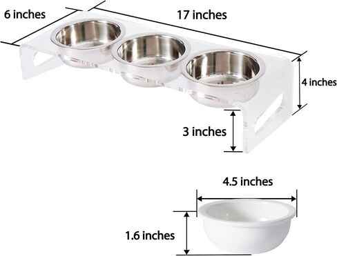 Tilted Raised Elevated Food and Water Bowls Stand for Cat or Small Dogs - Puppy's Clear Acrylic Stainless Steel Dishes Holder for Boy or Girl Pet,Modern,Durable and Easy to Clean by WBhonghui (Black) in Saudi Arabia