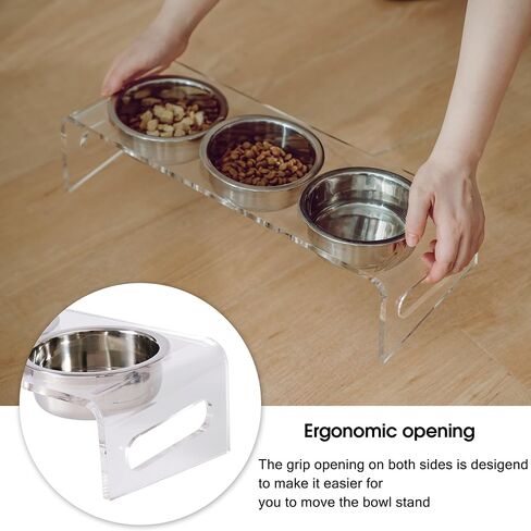Tilted Raised Elevated Food and Water Bowls Stand for Cat or Small Dogs - Puppy's Clear Acrylic Stainless Steel Dishes Holder for Boy or Girl Pet,Modern,Durable and Easy to Clean by WBhonghui (Black) in Saudi Arabia