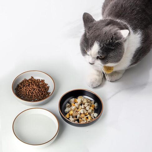 Howise Ceramic Cat Bowls, Howise Pet Bowl Cat Dishes for Food and Water, 5.19 in Cat Food Bowl 3 Pack Pet Dishes for Cats Puppy in Saudi Arabia