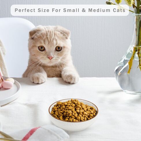 Howise Ceramic Cat Bowls, Howise Pet Bowl Cat Dishes for Food and Water, 5.19 in Cat Food Bowl 3 Pack Pet Dishes for Cats Puppy in Saudi Arabia