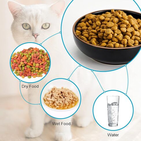 Howise Ceramic Cat Bowls, Howise Pet Bowl Cat Dishes for Food and Water, 5.19 in Cat Food Bowl 3 Pack Pet Dishes for Cats Puppy in Saudi Arabia