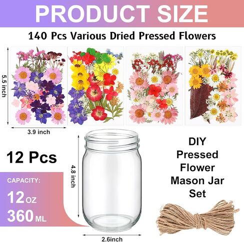 12 Sets DIY Pressed Flowers Mason Jars Set Dried Flower Mason Jar Decorations 12 oz Mason Jars 140 Pcs Natural Real Pressed Flowers for Kindergarten Lantern Art Crafts Making Wedding Favors in Saudi Arabia