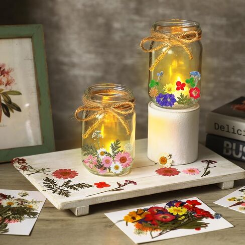 12 Sets DIY Pressed Flowers Mason Jars Set Dried Flower Mason Jar Decorations 12 oz Mason Jars 140 Pcs Natural Real Pressed Flowers for Kindergarten Lantern Art Crafts Making Wedding Favors in Saudi Arabia
