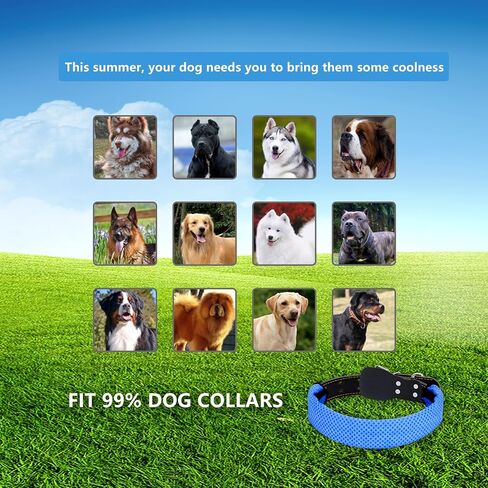 Zestbina Dog Cooling Bandana,Pet Ice Scarfs,Dog Breathable Dissipation Collar,Collar Partner,Essential Summer Pet Supplies,Fit 99% Dog Collars,for Dog Calming Hot Weather,2 Pack in Saudi Arabia