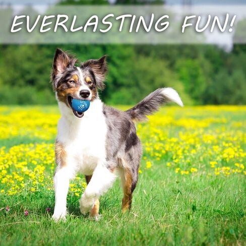 ألعاب الكلاب من أوترلي بيتس (عبوة من 8 قطع) - حبال قوية متنوعة وكرة مطاطية طبيعية مفردة غير قابلة للتدمير للكلاب الصغيرة والمتوسطة in Kuwait