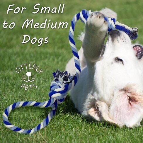 ألعاب الكلاب من أوترلي بيتس (عبوة من 8 قطع) - حبال قوية متنوعة وكرة مطاطية طبيعية مفردة غير قابلة للتدمير للكلاب الصغيرة والمتوسطة in Kuwait