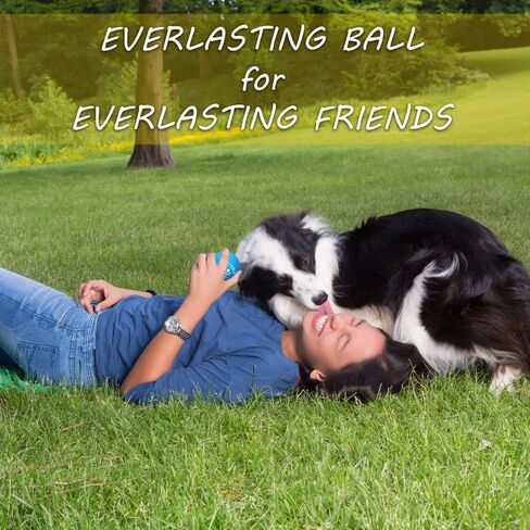 ألعاب الكلاب من أوترلي بيتس (عبوة من 8 قطع) - حبال قوية متنوعة وكرة مطاطية طبيعية مفردة غير قابلة للتدمير للكلاب الصغيرة والمتوسطة in Kuwait