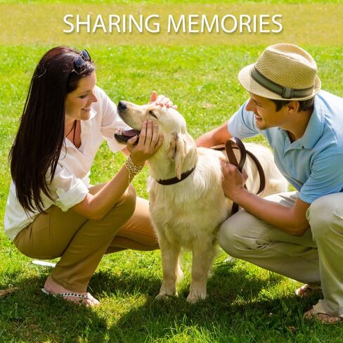 ألعاب الكلاب من أوترلي بيتس (عبوة من 8 قطع) - حبال قوية متنوعة وكرة مطاطية طبيعية مفردة غير قابلة للتدمير للكلاب الصغيرة والمتوسطة in Kuwait