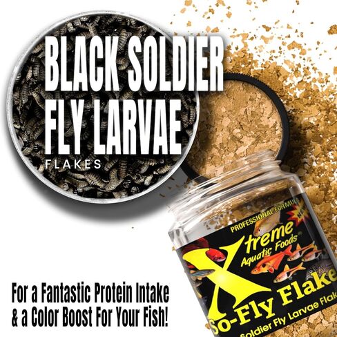 Xtreme So-Fly Flakes - Sustainable Protein from Black Soldier Fly Larva for Tropical Fish - Eco-Friendly Food, Nutrient-Rich, All-Natural Diet - USA Farm Grown (3.5oz) in Saudi Arabia