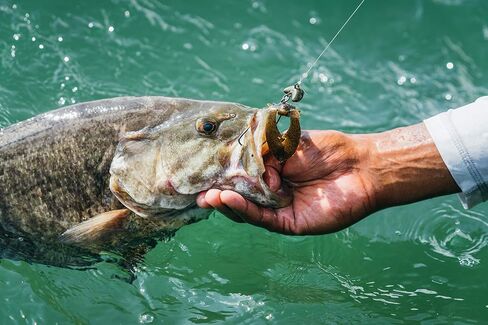 Berkley PowerBait Chigger Craw,Black Blue Fleck,3" (10 Count) in Kuwait