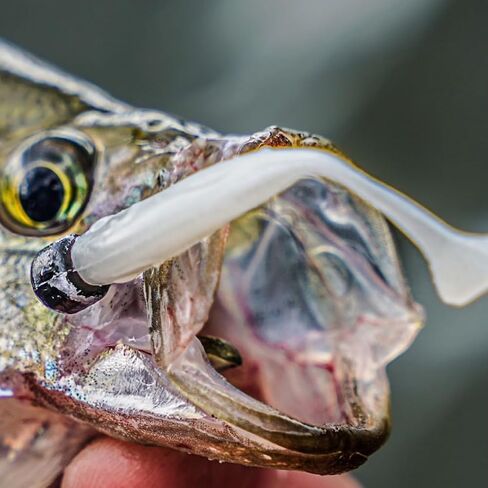 Baitfuel 2’’ NanoShad Black Chartreuse in Saudi Arabia
