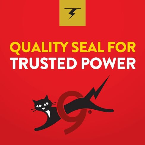 Eveready Gold Alkaline 9V Batteries, 1 Pack of 9 Volt Batteries in Saudi Arabia