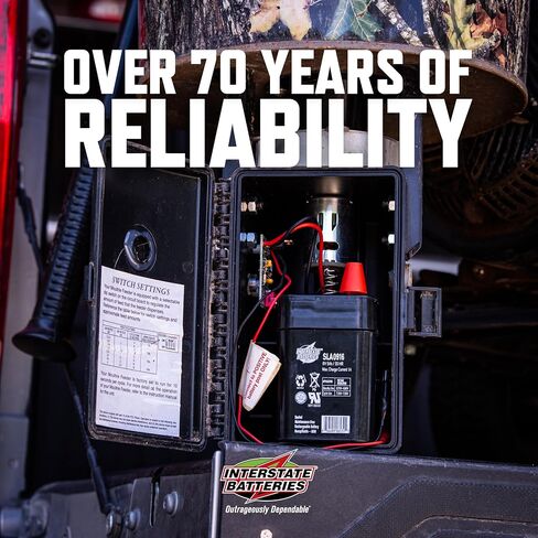 Interstate Batteries SLA Battery 6V 5Ah AGM VRLA (Spring Terminal) SLA0916 in Saudi Arabia