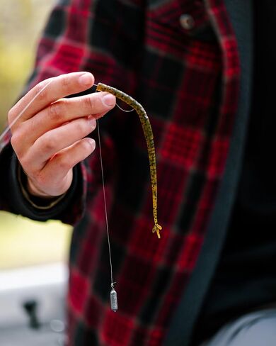 BaitFuel Finiki Prop Shot 6.25" Soft Plastic Worm, Redbug in Saudi Arabia