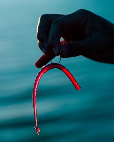 BaitFuel Finiki Prop Shot 6.25" Soft Plastic Worm, Redbug in Saudi Arabia