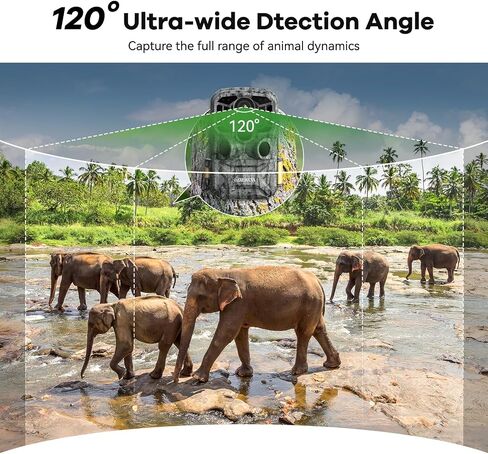 كاميرا DEATTI Trail بدقة 48 ميجابكسل بدقة 4K مع 8 بطاريات وبطاقة SD سعة 32 جيجابايت، واتصال بلوتوث واي فاي، وكاميرات تريل مع حركة رؤية ليلية نشطة مقاومة للماء للحياة البرية والغزلان في الهواء الطلق، وقت تشغيل 0.1 ثانية in Kuwait