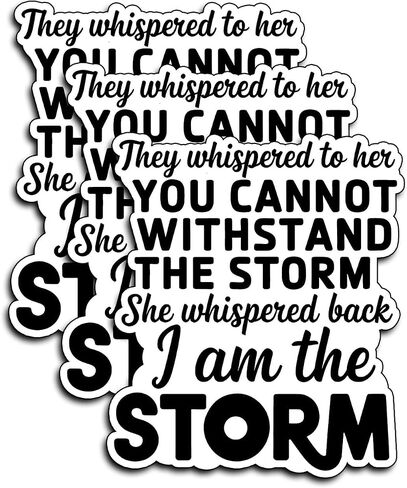 (3Pcs) I Am The Storm Stickers Funny Strong Confident Female Sarcastic Quote Humor Motivational Inspirational Gifts Waterproof Vinyl Decals Kindle Water Bottle Bumper Car Hard Hat Phone Laptop 3x2.4 in Kuwait