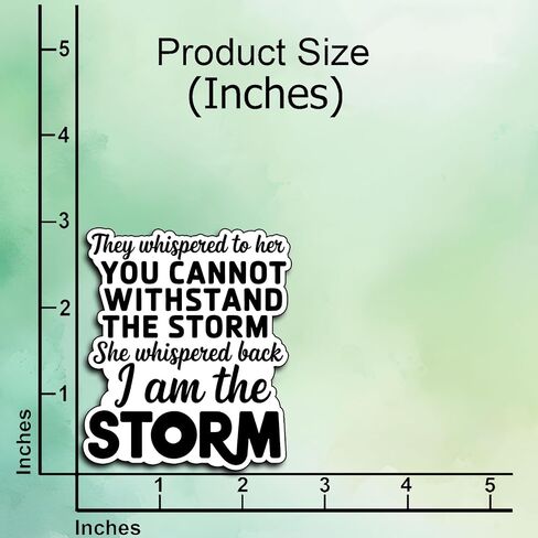 (3Pcs) I Am The Storm Stickers Funny Strong Confident Female Sarcastic Quote Humor Motivational Inspirational Gifts Waterproof Vinyl Decals Kindle Water Bottle Bumper Car Hard Hat Phone Laptop 3x2.4 in Kuwait