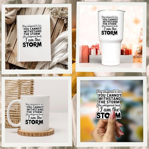 (3Pcs) I Am The Storm Stickers Funny Strong Confident Female Sarcastic Quote Humor Motivational Inspirational Gifts Waterproof Vinyl Decals Kindle Water Bottle Bumper Car Hard Hat Phone Laptop 3x2.4 in Kuwait