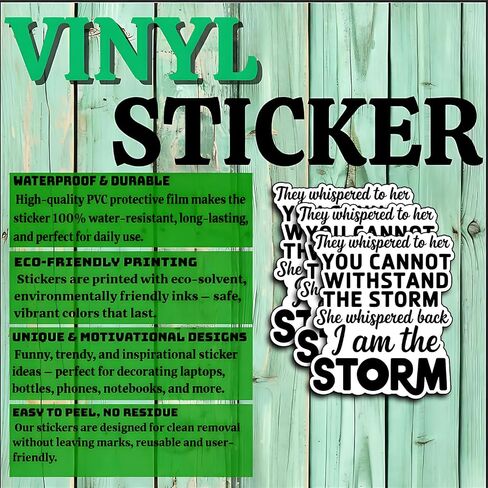 (3Pcs) I Am The Storm Stickers Funny Strong Confident Female Sarcastic Quote Humor Motivational Inspirational Gifts Waterproof Vinyl Decals Kindle Water Bottle Bumper Car Hard Hat Phone Laptop 3x2.4 in Kuwait