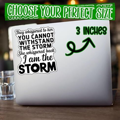 (3Pcs) I Am The Storm Stickers Funny Strong Confident Female Sarcastic Quote Humor Motivational Inspirational Gifts Waterproof Vinyl Decals Kindle Water Bottle Bumper Car Hard Hat Phone Laptop 3x2.4 in Kuwait