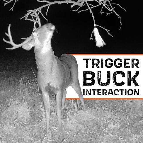 HODAG Rut Tassel Mock Scrape Kit for Whitetail Deer Hunting in Saudi Arabia