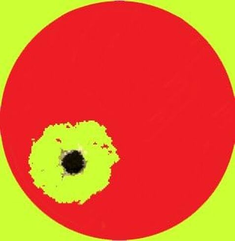 Splatterburst Targets - 10 Pack 1 inch Stick & Splatter Self Adhesive Red Bullseyes - Gun - Rifle - Pistol - Airsoft - BB Gun - Pellet Gun - Air Rifle - Made in USA in Saudi Arabia