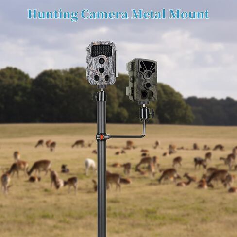 Camera Post Trail Camera Stakes Universal Camera Stand Mount Light Weight DIY Holder with Accessoried Outdoor for Farm Yard Garden (1, Black, 25-3) in Kuwait