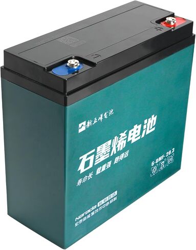 2 حزمة 12V 20Ah بطارية SLA AGM قابلة لإعادة الشحن 6-DZF-20 6-DMF-20 6DZM20 6-DZM-20 6DZF20 6FM17 6-FM-18 للتنقل سكوتر جزازة العشب Go Kart كرسي متحرك ATV مولد، محطة الجوز والترباس in Kuwait
