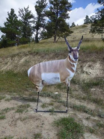 Eichler Antelope with Quickstand by Montana Decoy in Saudi Arabia