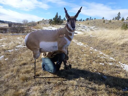 Eichler Antelope with Quickstand by Montana Decoy in Saudi Arabia