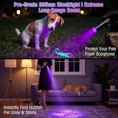 18 Pack UV Flashlight Rechargeable 395nm Black Light, Mini USB Portable Blacklight Flashlights Woods Lamp LED Ultraviolet Light for Pet Urine Detection, Uranium Glass, Resin Curing Car Warehouse in Saudi Arabia