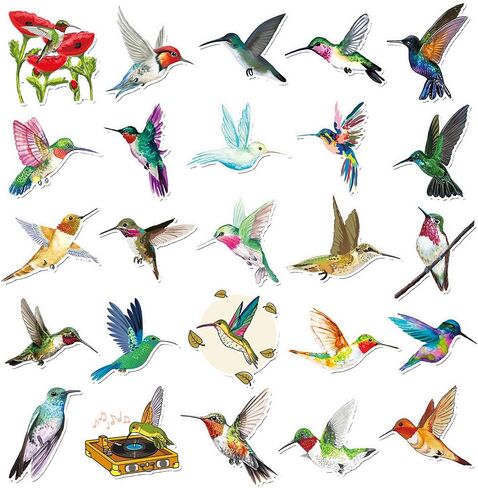 50 PCS Waterproof Vibrant Hummingbird Vinyl Stickers in Kuwait