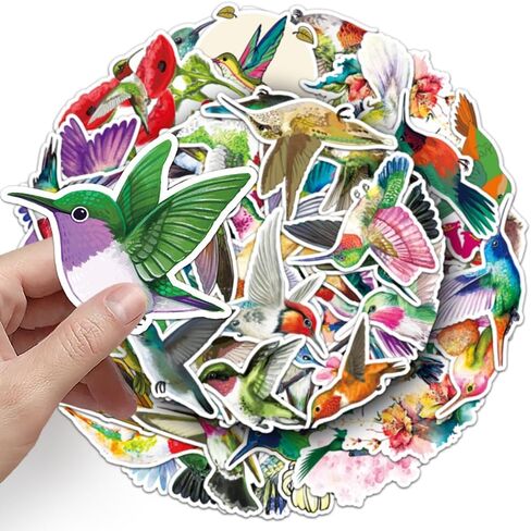 50 PCS Waterproof Vibrant Hummingbird Vinyl Stickers in Kuwait