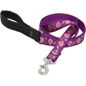 LupinePet Originals 1" Rose Garden 4-Foot Padded Handle Leash for Medium and Larger Dogs