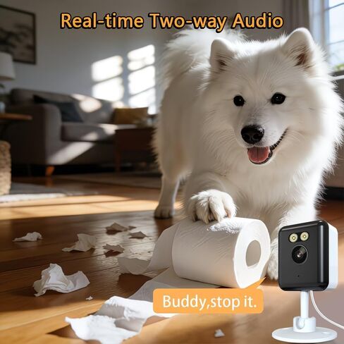 Compatible Alexa Indoor Security Camera.Wired Low-Power Monitor,2.4GHz Wireless,3MP high-Definition Camera,Full-Color Night Vision+Two-Way Call+Human Detection,Support APP Remote Control in Kuwait