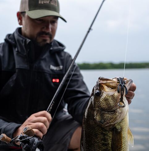CrushCity Hedgehog Soft Plastic Creature Bait, Compact Multi-Action Design for Finesse Rigs, Jigs & Pressured Bass, 4", Plum in Kuwait