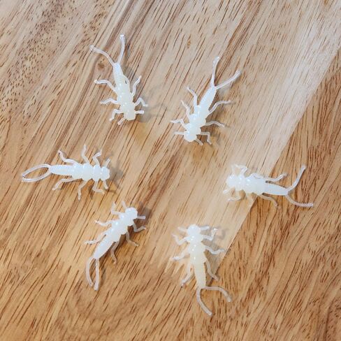Glow Soft Plastic Stonefly 20 pack in Kuwait