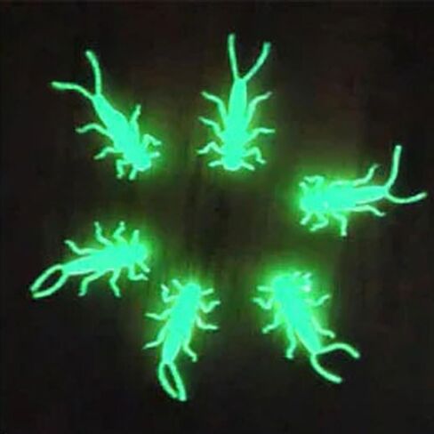 Glow Soft Plastic Stonefly 20 pack in Kuwait