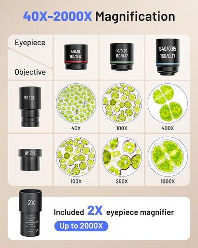 TOMLOV Compound Microscope with Coarse & Fine Focus for Students, 40X-2000X in Kuwait