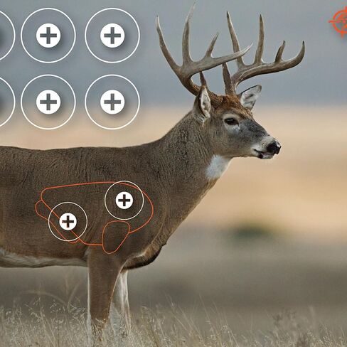 Allen Company EZ Aim Paper Shooting Targets, 4-Color 23" x 35" Whitetail Targets, 2-Pack in Kuwait