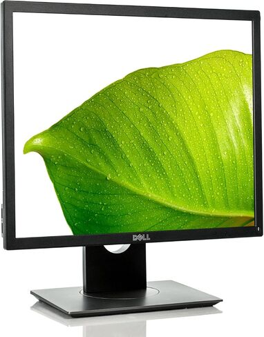Dell Monitors P1917S 19In Monitor P1917S in Kuwait