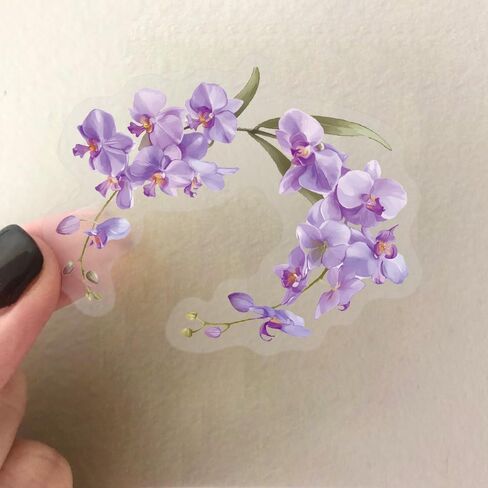 200pcs PET Flower Stickers for Water Bottles, Waterproof Transparent Holographic Flowers Sticker for Skateboard, Laptop, Bike, Hydroflask, Natural Plant Floral Stickers for Adults (#2) in Saudi Arabia