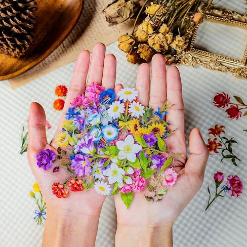 200pcs PET Flower Stickers for Water Bottles, Waterproof Transparent Holographic Flowers Sticker for Skateboard, Laptop, Bike, Hydroflask, Natural Plant Floral Stickers for Adults (#2) in Saudi Arabia