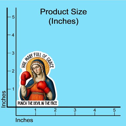 (3PCS) Hail Mary Full of Grace Punch The Devil in The Face Sticker Catholic Meme,Christian Faith Religious Bible Verse, Books Laptops Phone Water Bottles Tumbler Cup Kindle 3x2.1 Inch in Kuwait