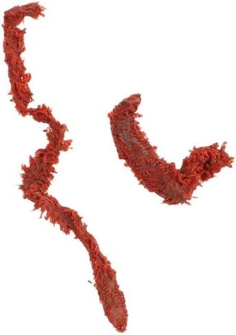 85pcs Red Silicone Sandworm Bait for Saltwater Fishing in Kuwait