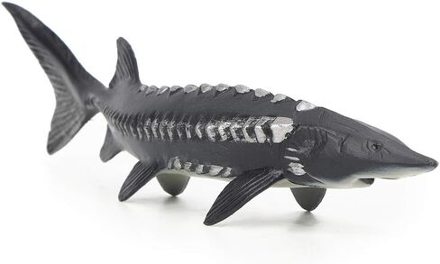 JTLB Lifelike Sturgeon Fish Model, Artificial Plastic Fish Toy with Vivid Shape for Home Decor, Photography Props, Baby Safe (M-1528 Chinese Sturgeon) in Kuwait