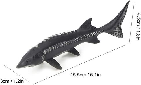 JTLB Lifelike Sturgeon Fish Model, Artificial Plastic Fish Toy with Vivid Shape for Home Decor, Photography Props, Baby Safe (M-1528 Chinese Sturgeon) in Kuwait