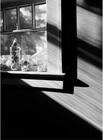 Kodak Ektapan 100 Black and White Negative Film | 35mm Roll Film (36 Exposures) 2 Rolls & Cloth in Kuwait